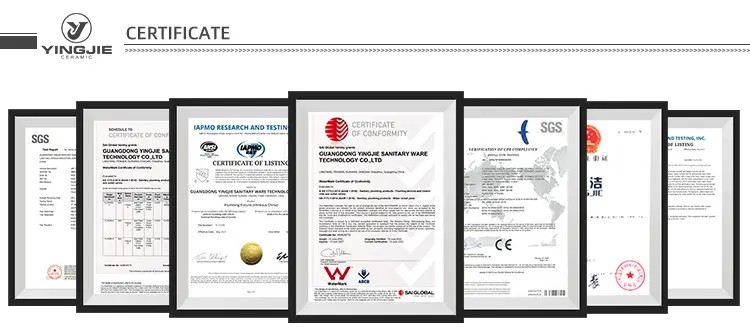 303db76d-8db3-491e-9901-ccff69fba615webp 303db76d-8db3-491e-9901-ccff69fba615webp